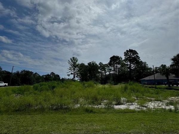 13142 MOTTLED DUCK RD ROAD, WEEKI WACHEE, FL 34614