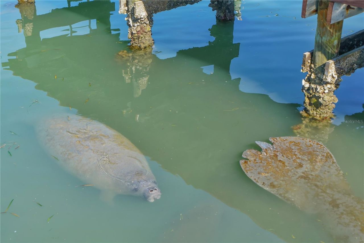 769 John Ringling Boulevard, Unit 3, Sarasota, FL 34236 Photo