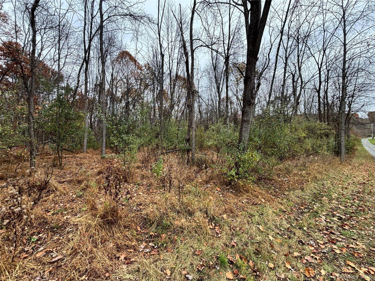 Gildea Ln, Westtown, NY 10998 Main Photo