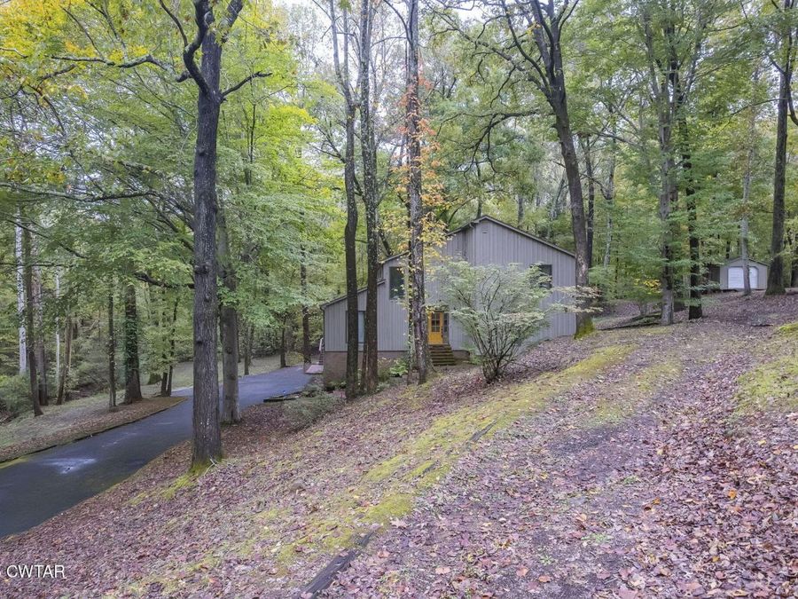 Property Image 41