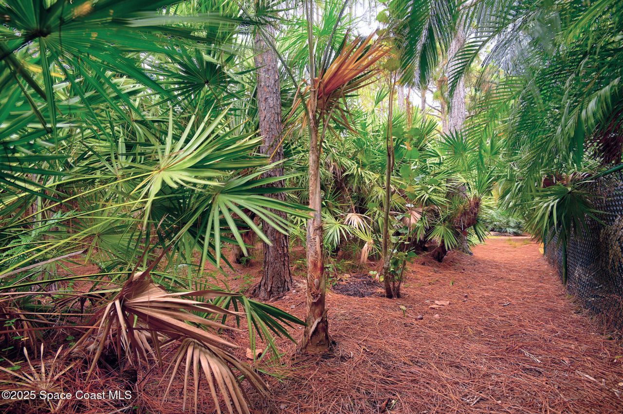 4580 Hunters Run Circle, Grant, FL 32949 Photo