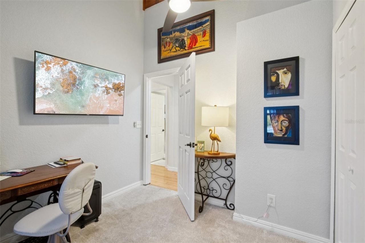 3140 N Canal Drive, Palm Harbor, FL 34684 Photo