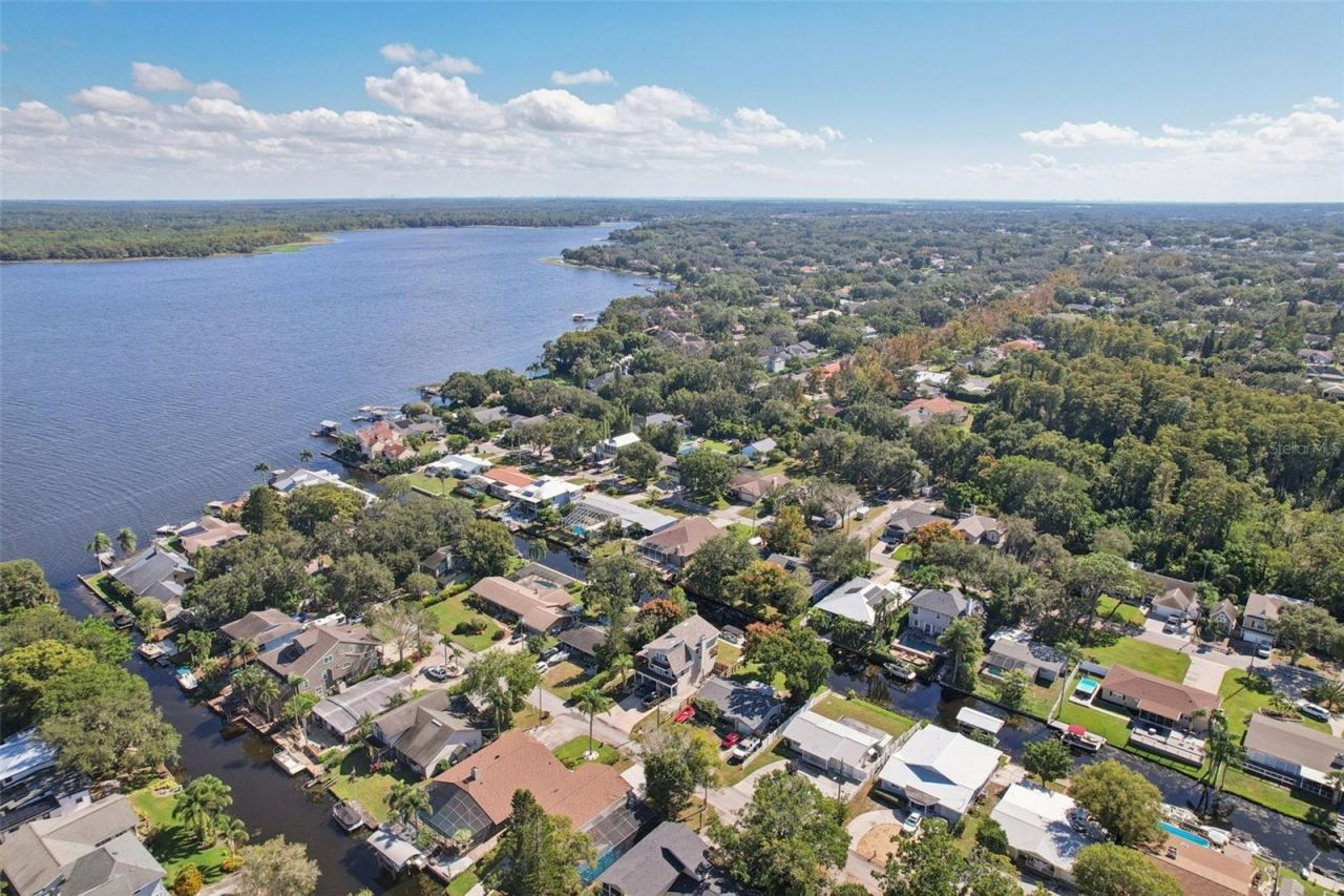 3140 N Canal Drive, Palm Harbor, FL 34684 Photo