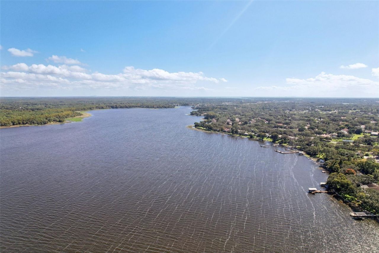 3140 N Canal Drive, Palm Harbor, FL 34684 Photo