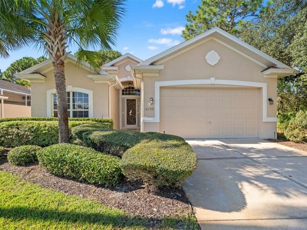 10199 HOLLY BERRY DRIVE, WEEKI WACHEE, FL 34613