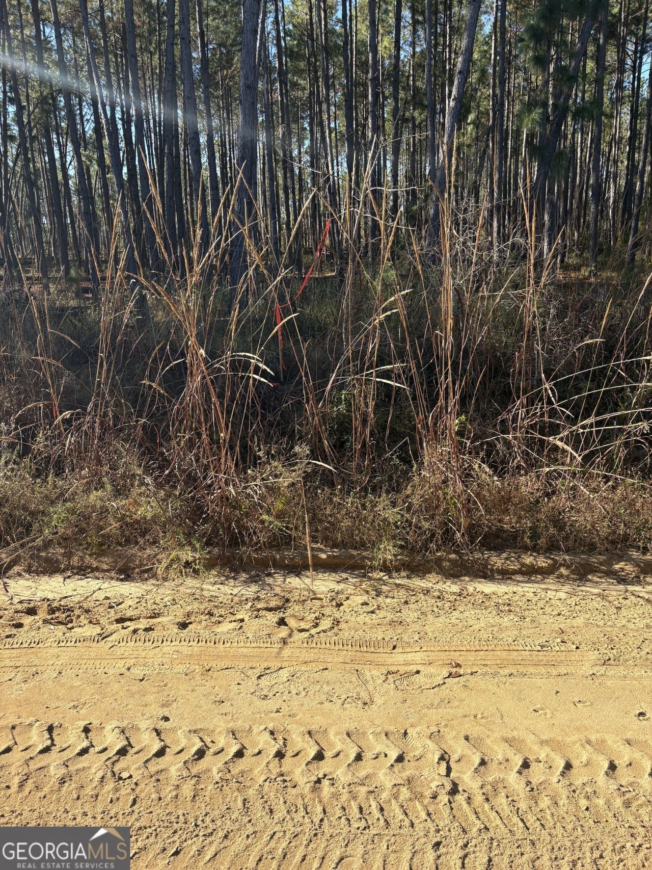 2441 Guy Weatherly Road, Cadwell, GA 31009 Main Photo