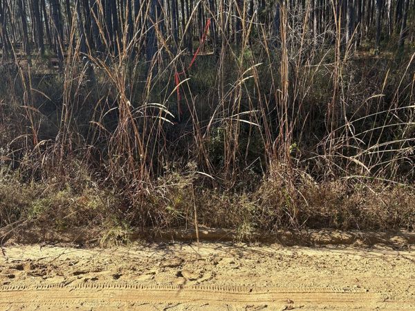 2441 Guy Weatherly Road, Cadwell, GA 31009