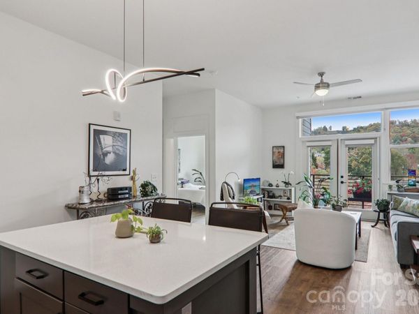 55 S Market Street, Unit 407, Asheville, NC 28801