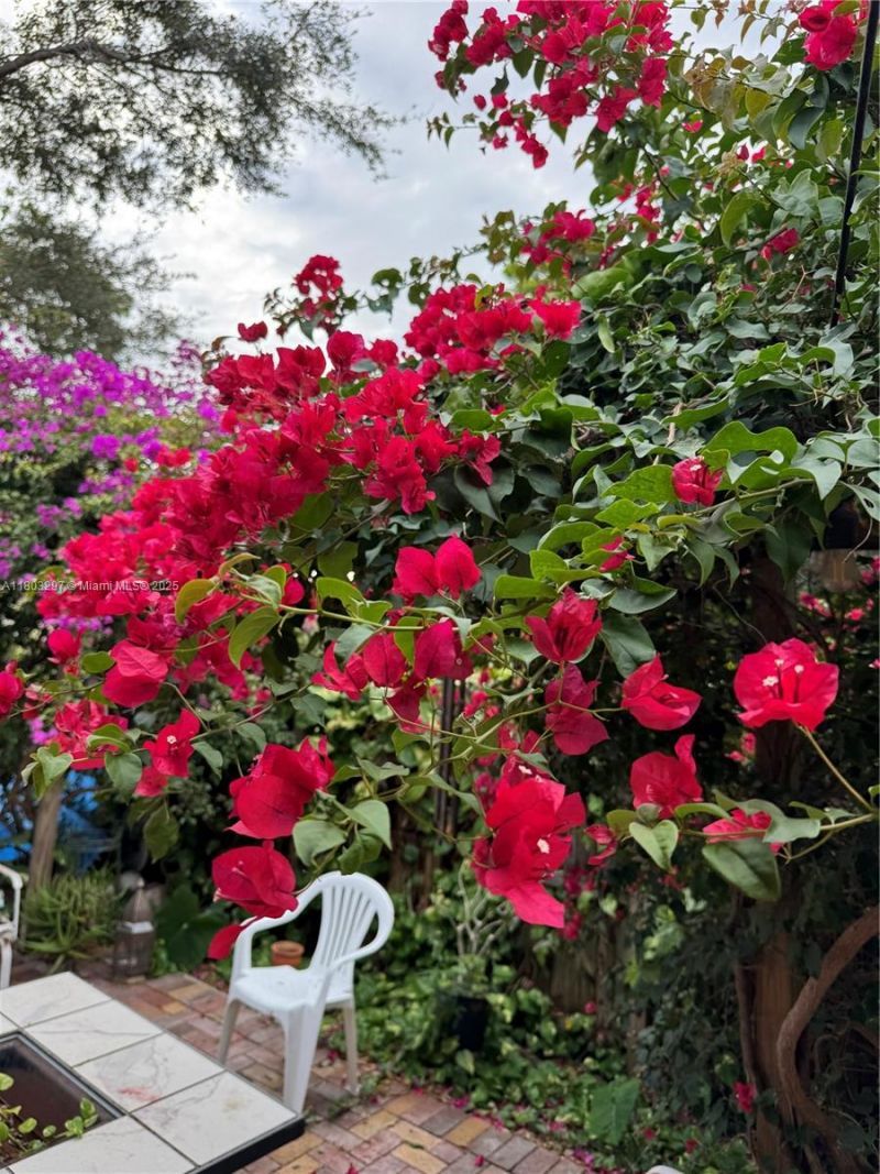 2306 Liberty St, Unit B, Hollywood, FL 33020 Photo