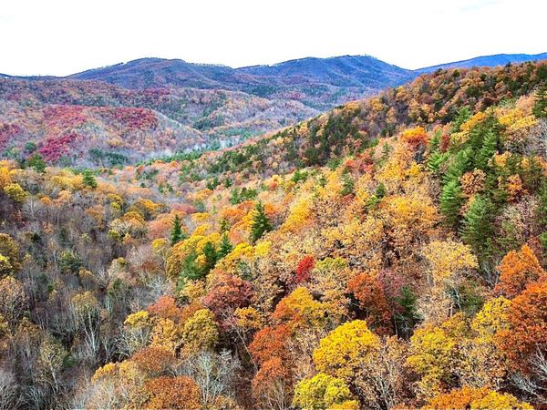 Blackberry Way Lot 19 Tract B, Caldwell, WV 24925