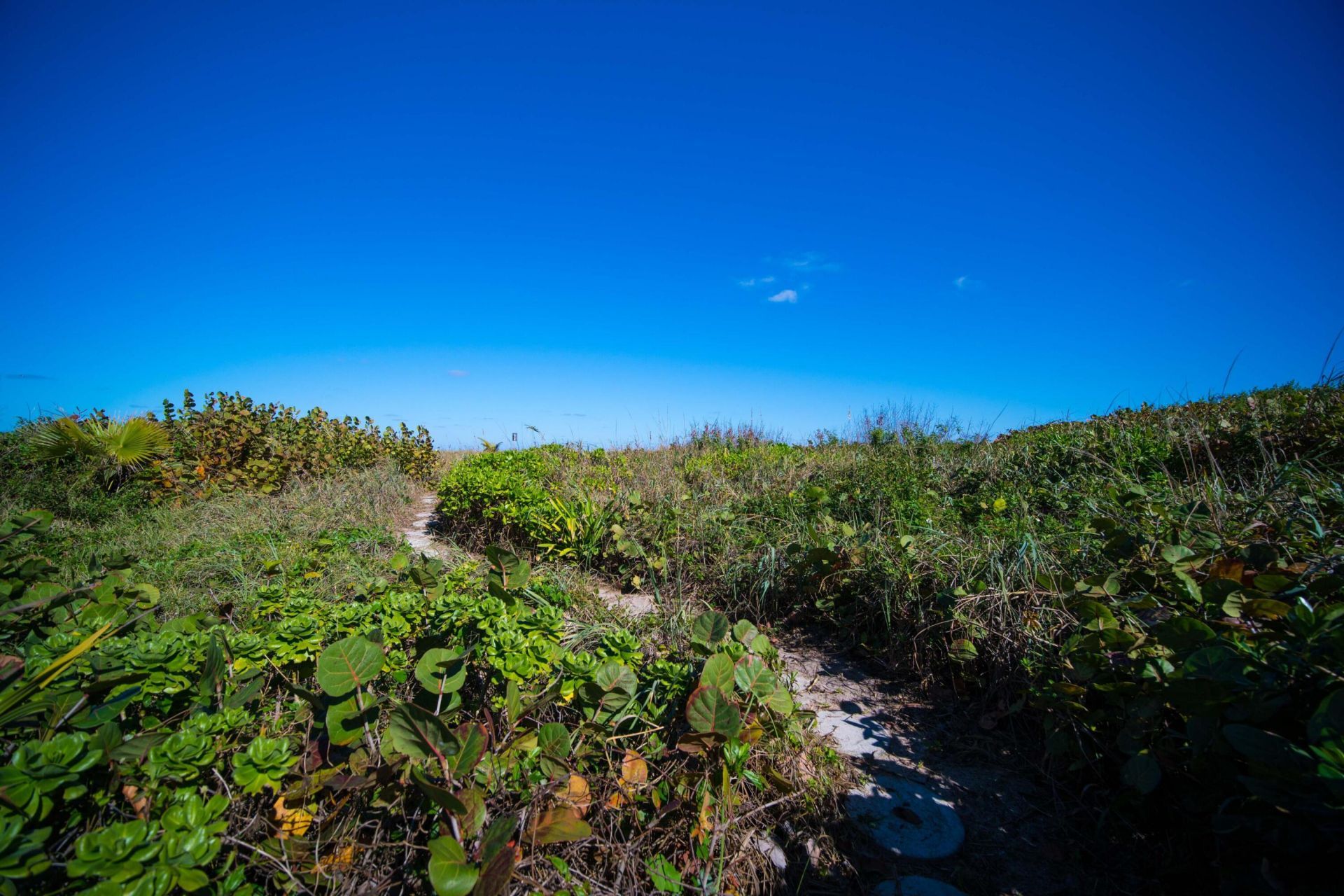 4000 S Ocean Boulevard, Lantana, FL 33462 Photo