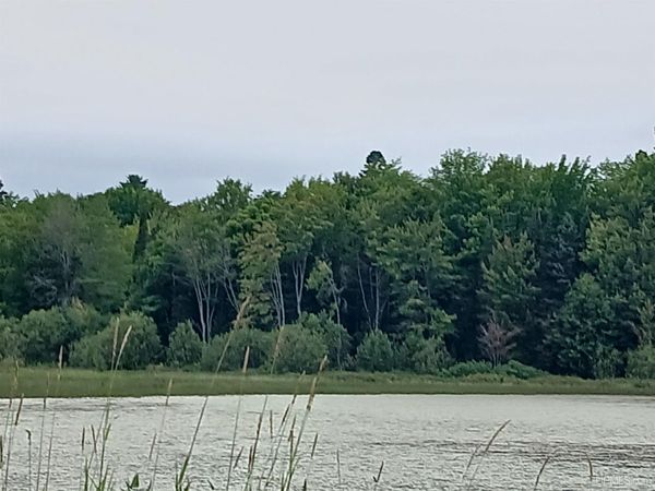 Parcel 7 Keweenaw Pass Road, Torch Lake Twp, MI 49945