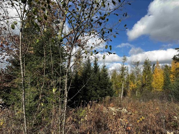 TBD Harry Peterson Drive, Breen Twp, MI 49834