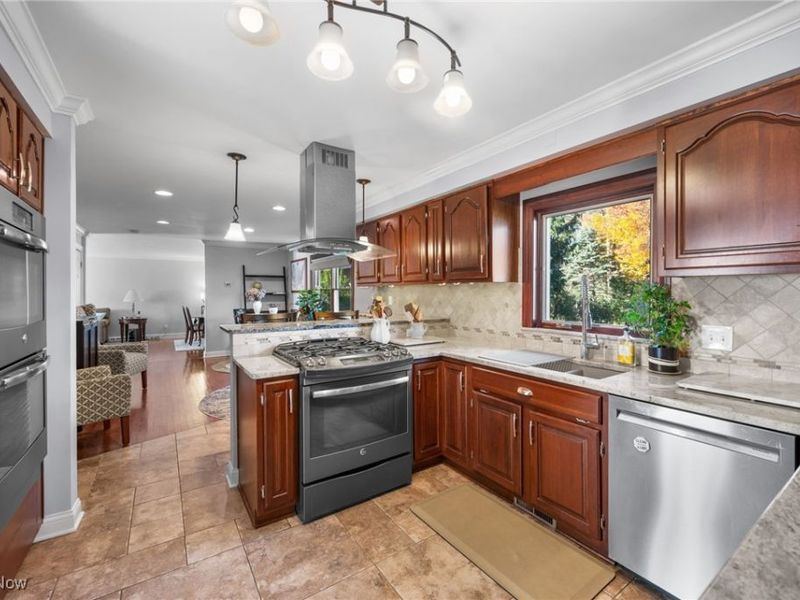 6807 Larchmont Drive, Cleveland, OH 44124 Photo 11