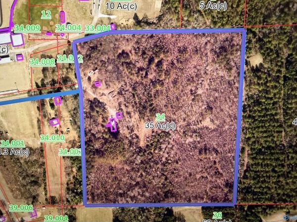 250 Wildcat Woods, Sand Rock, AL 35983