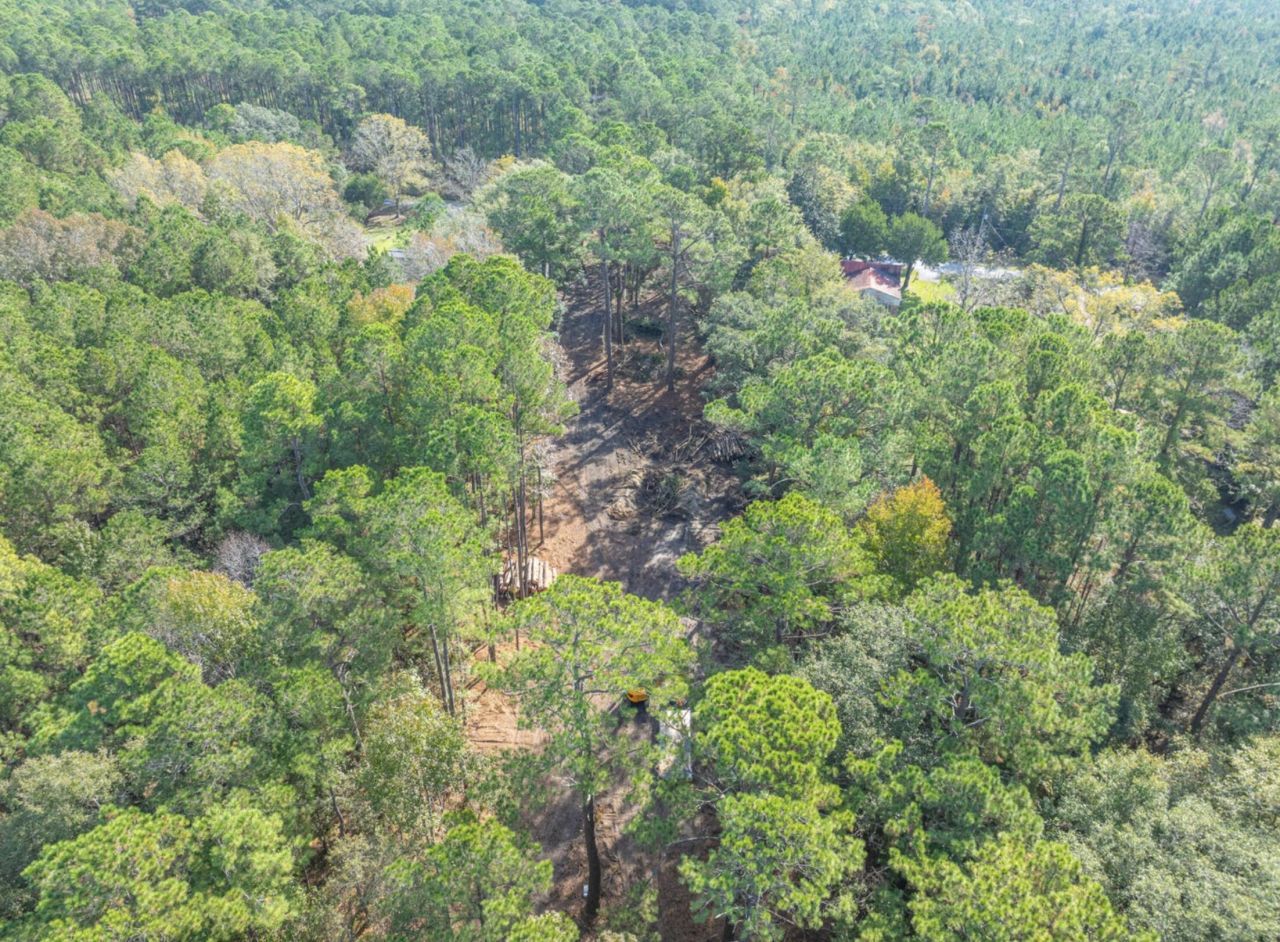 746 Dupre Road Photo 10