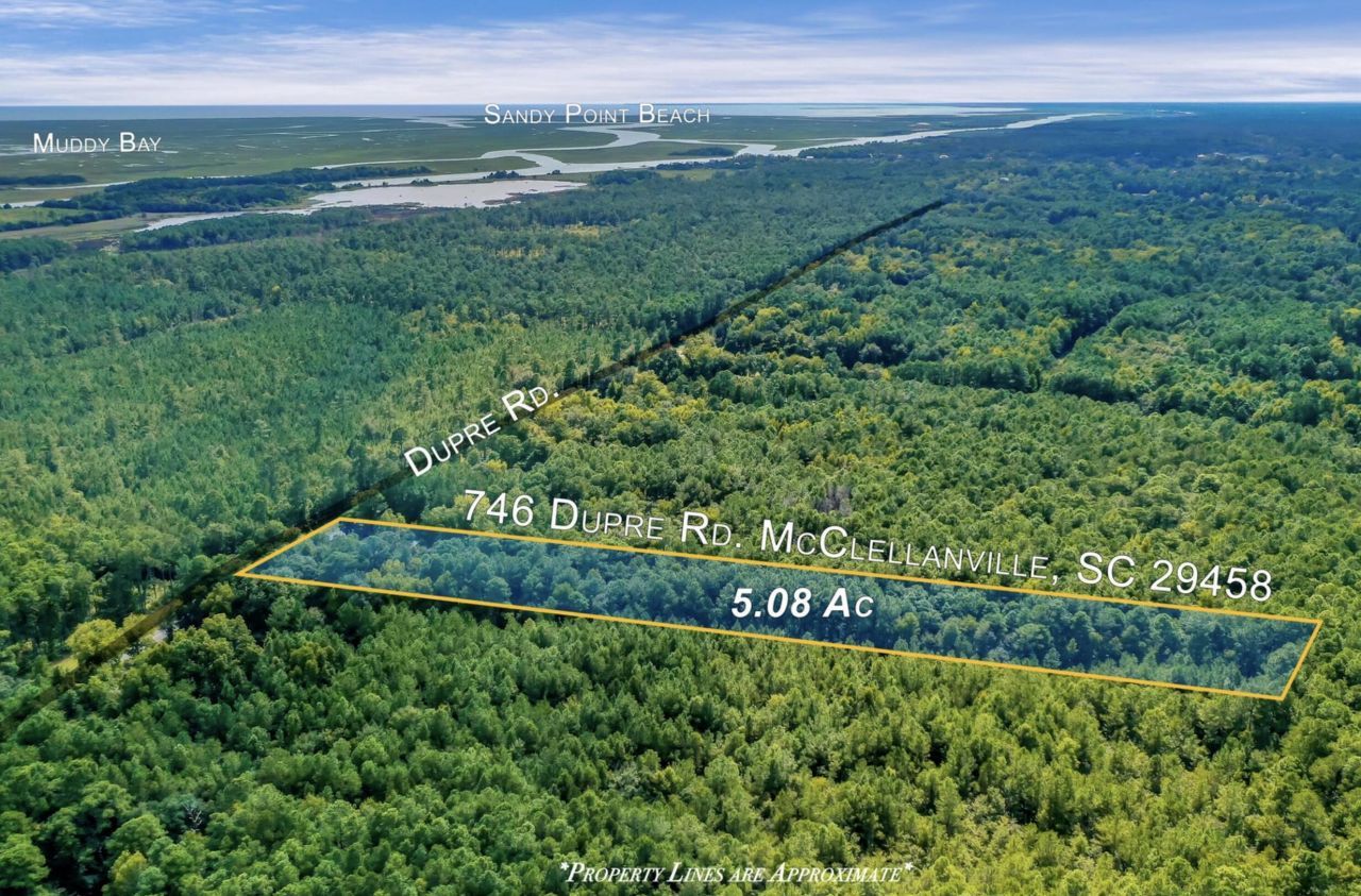 746 Dupre Road Photo 17