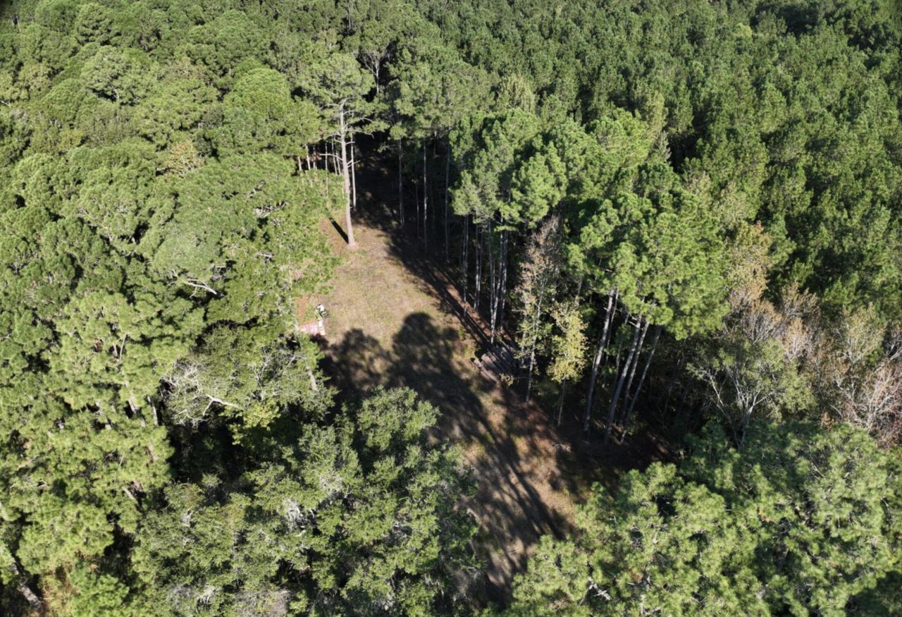 746 Dupre Road Photo 9