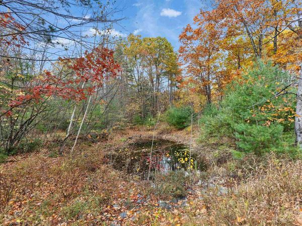 9 Winterberry Road, Brookline, NH 03033