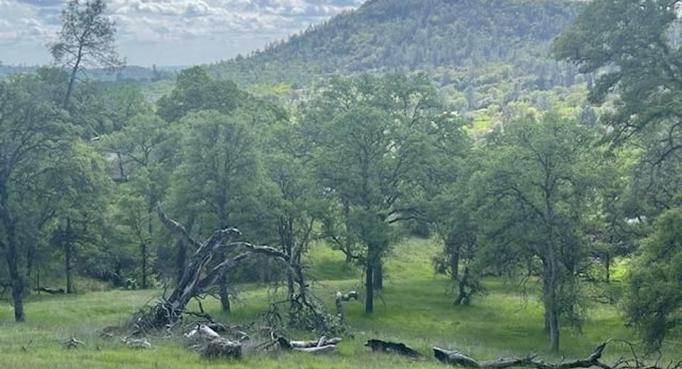 23 Wades Way, Browns Valley, CA 95918 Photo