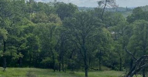 23 Wades Way, Browns Valley, CA 95918 Photo