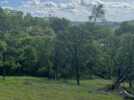 23 Wades Way, Browns Valley, CA 95918 Photo