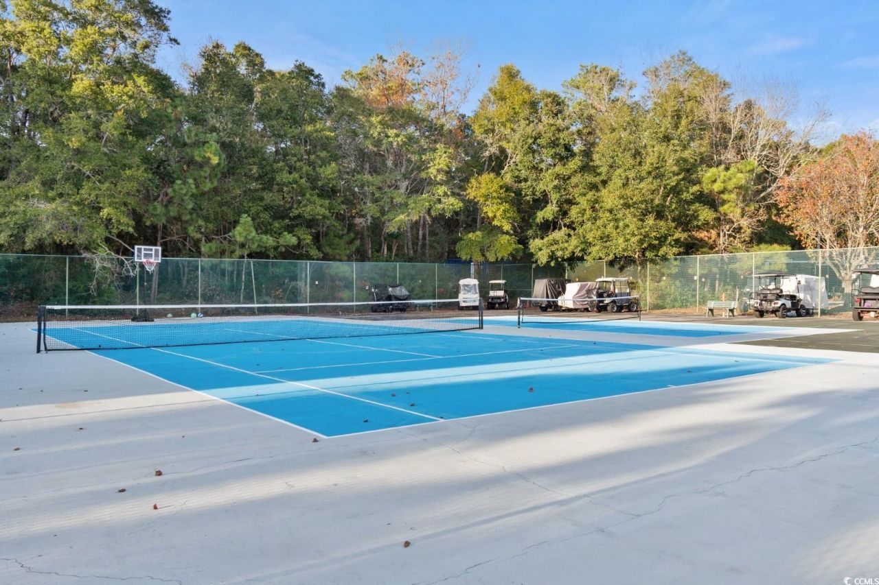 501 Maison Dr. Photo 40