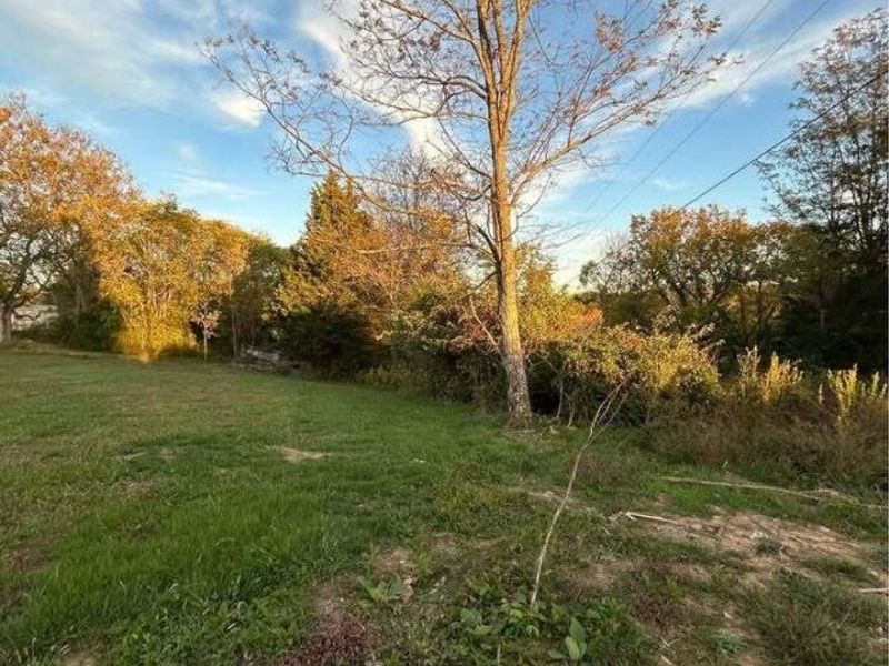 1547 Pinhook Road, Mount Olivet, KY 41064 Photo 2