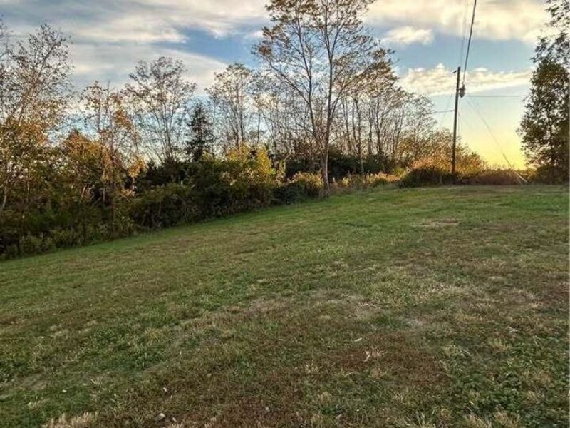 1547 Pinhook Road, Mount Olivet, KY 41064 Photo 3