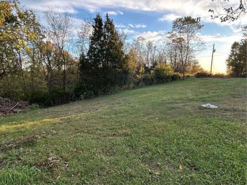 1547 Pinhook Road, Mount Olivet, KY 41064 Photo 6