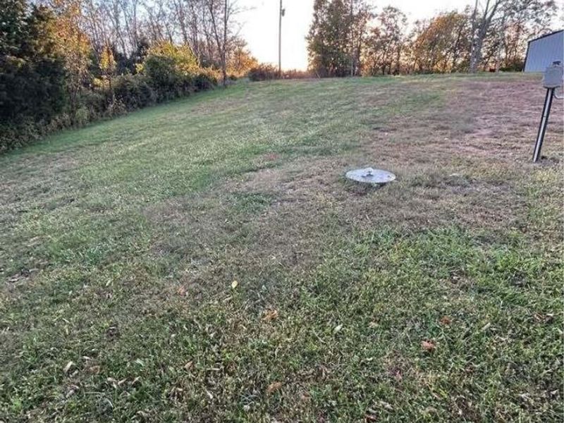 1547 Pinhook Road, Mount Olivet, KY 41064 Photo 7
