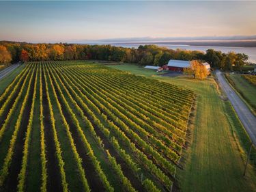 6800 State Route 89, Ovid, NY 14521