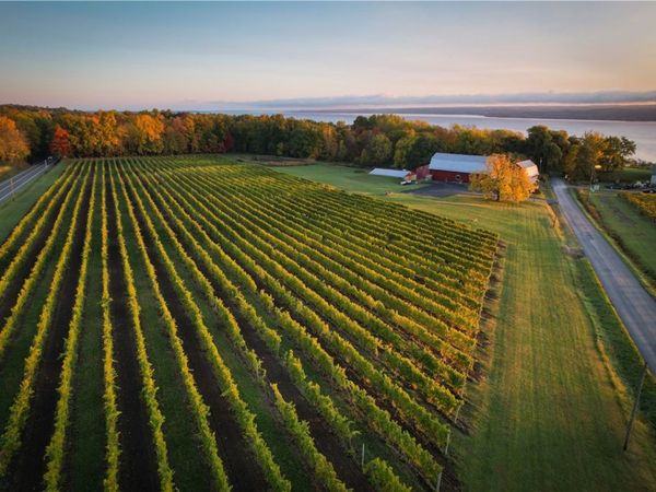 6800 State Route 89, Ovid, NY 14521