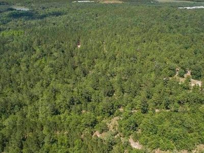 477 Thor Road , Pelion, SC 29123