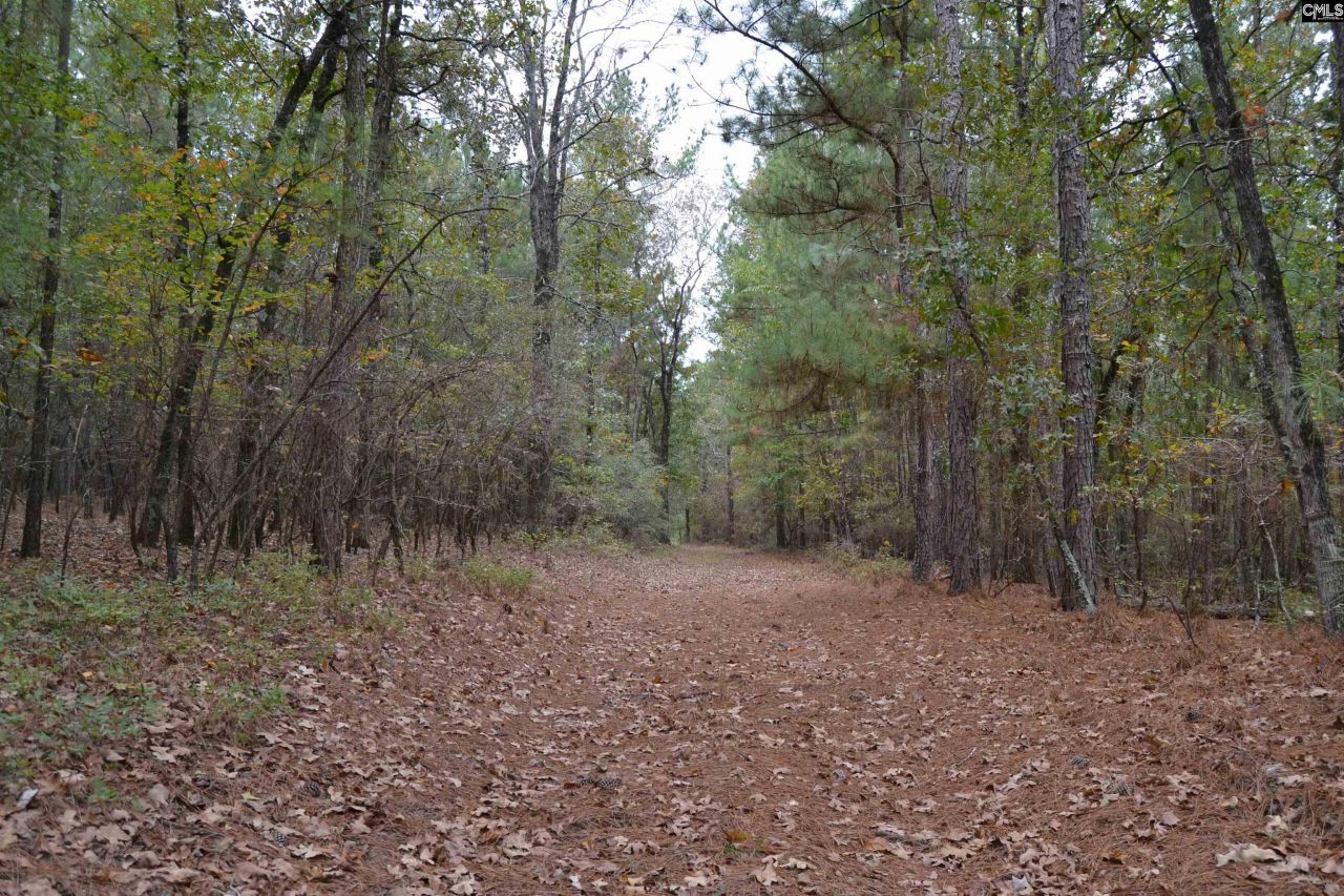 477 Thor Road  Photo 10