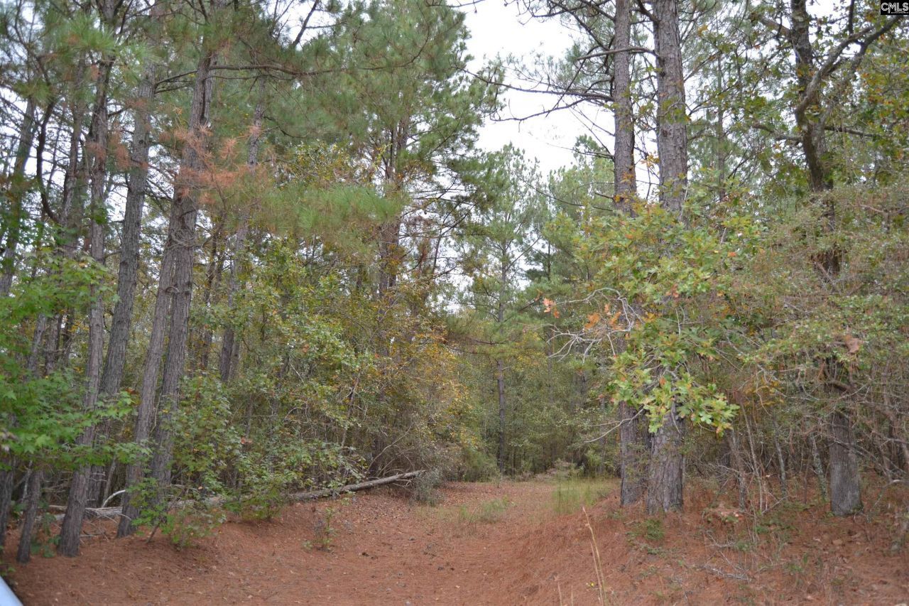 477 Thor Road  Photo 11