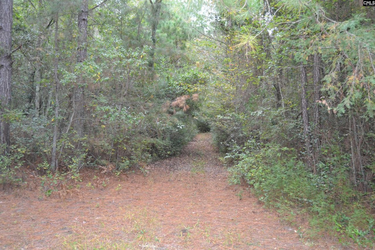 477 Thor Road  Photo 12