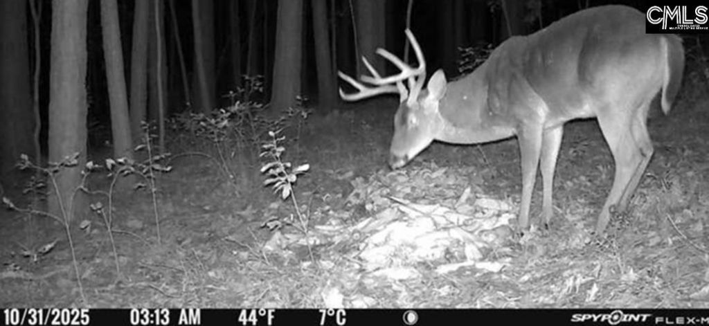 477 Thor Road  Photo 19