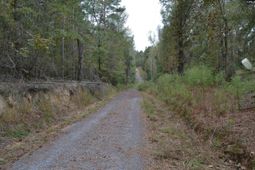 477 Thor Road  photo 4