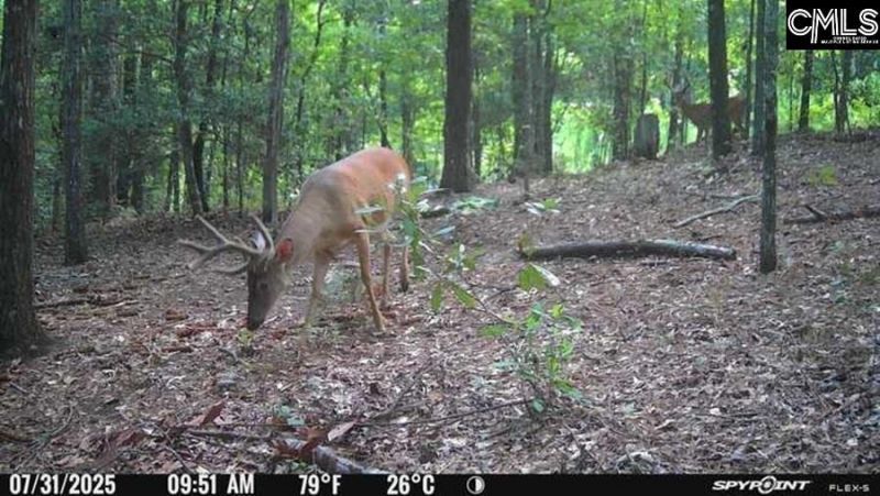 477 Thor Road  Photo 20