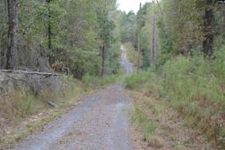 477 Thor Road  photo 4