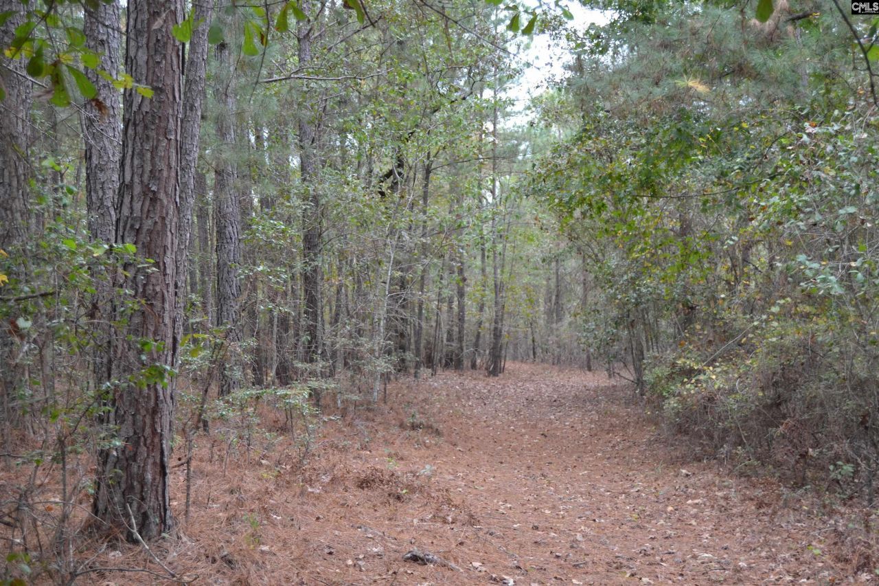 477 Thor Road  Photo 6