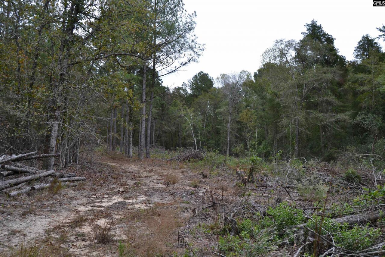 477 Thor Road  Photo 7