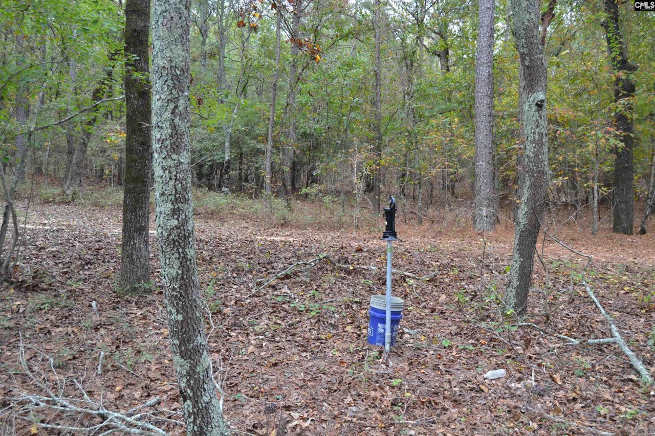 477 Thor Road  Photo 8