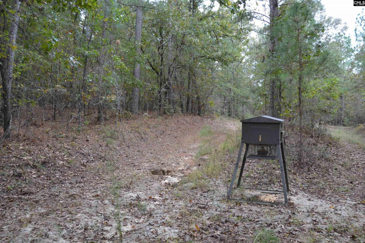 477 Thor Road  Photo 9