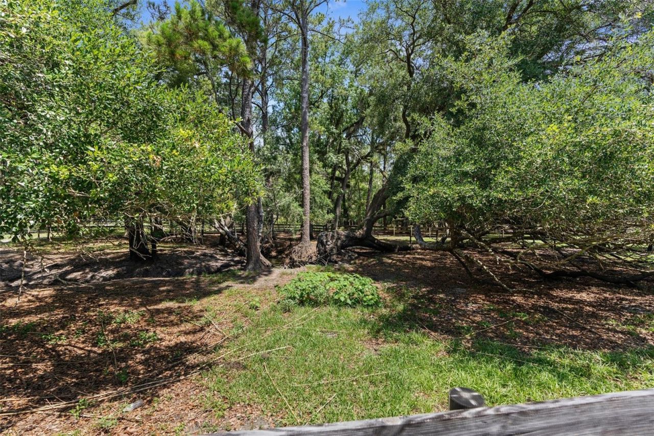 1325 Culbreath Road, Brooksville, FL 34602 Photo