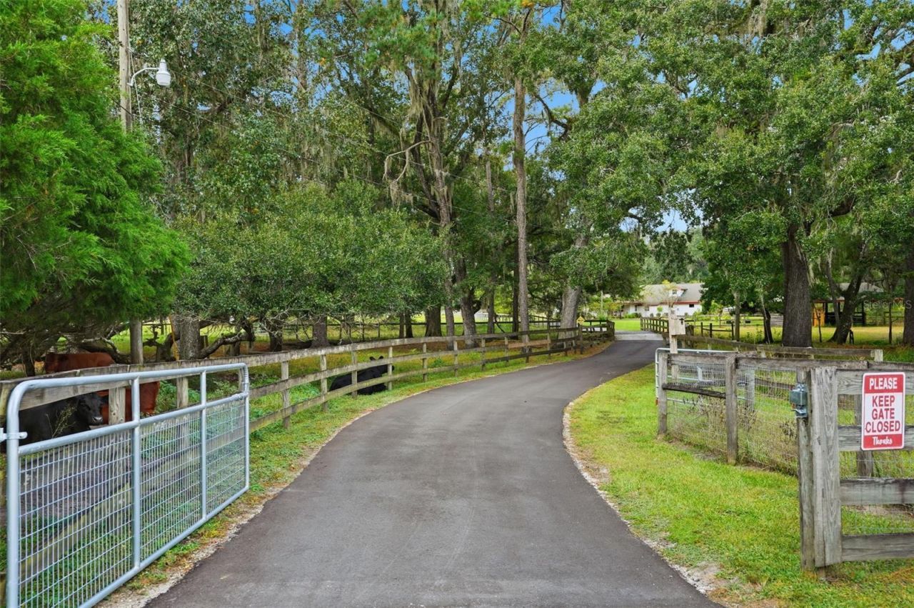 1325 Culbreath Road, Brooksville, FL 34602 Photo