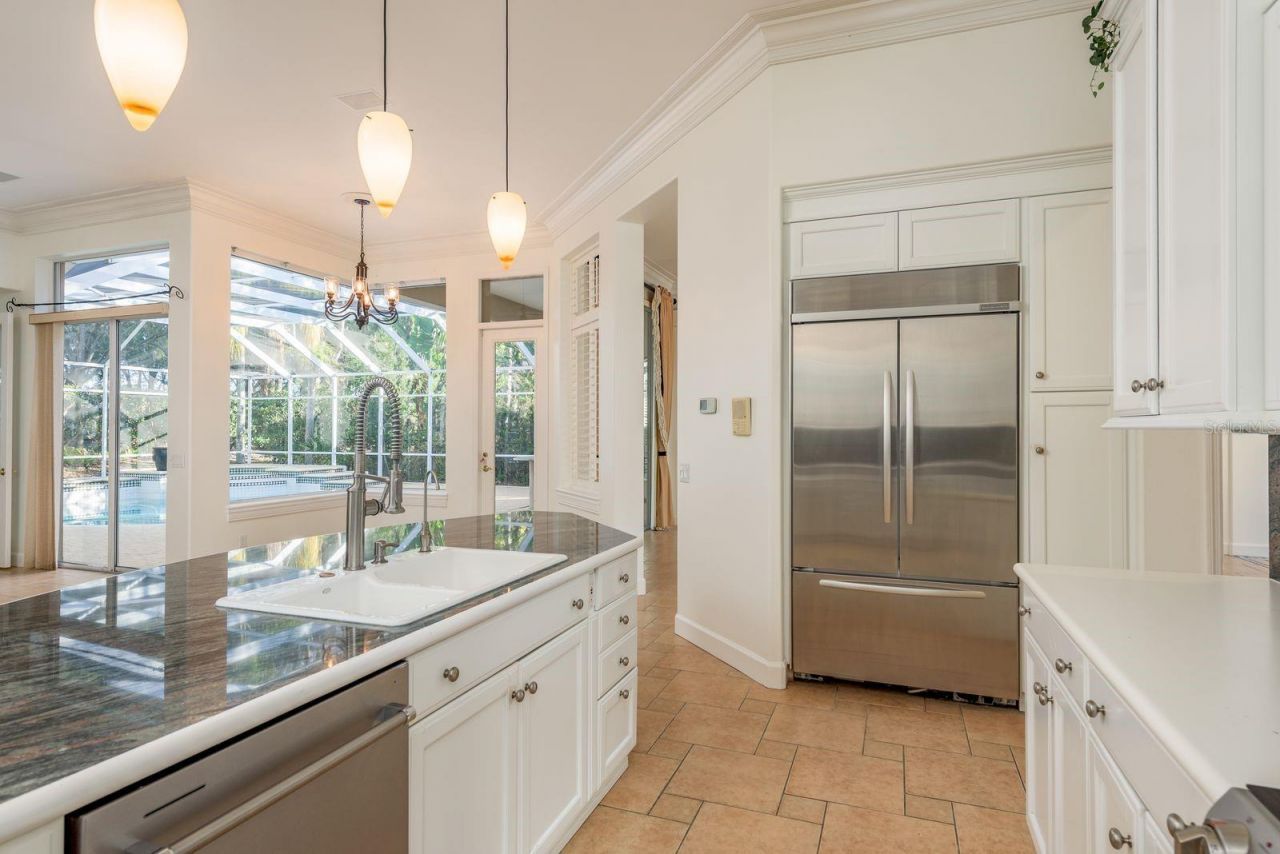 5264 Karlsburg Place, Palm Harbor, FL 34685 Photo