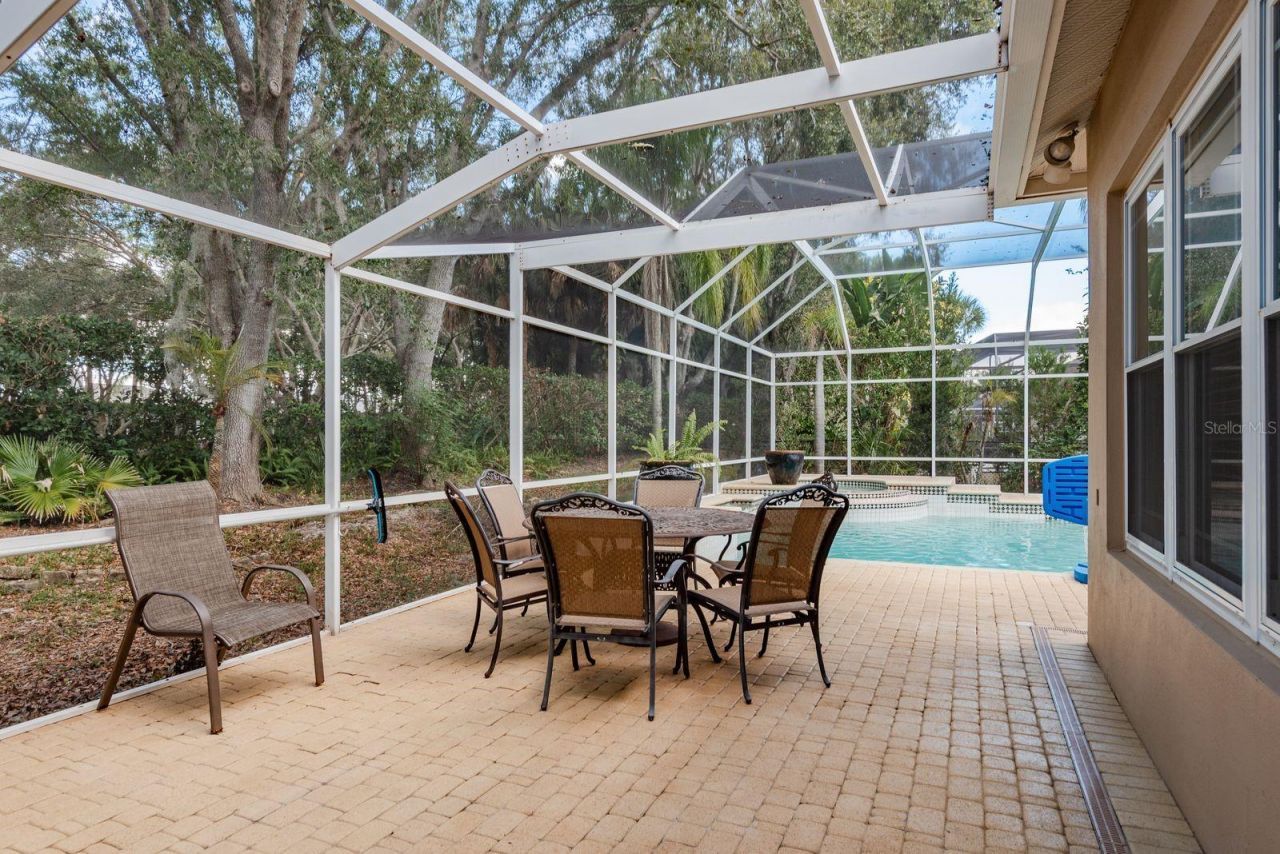 5264 Karlsburg Place, Palm Harbor, FL 34685 Photo