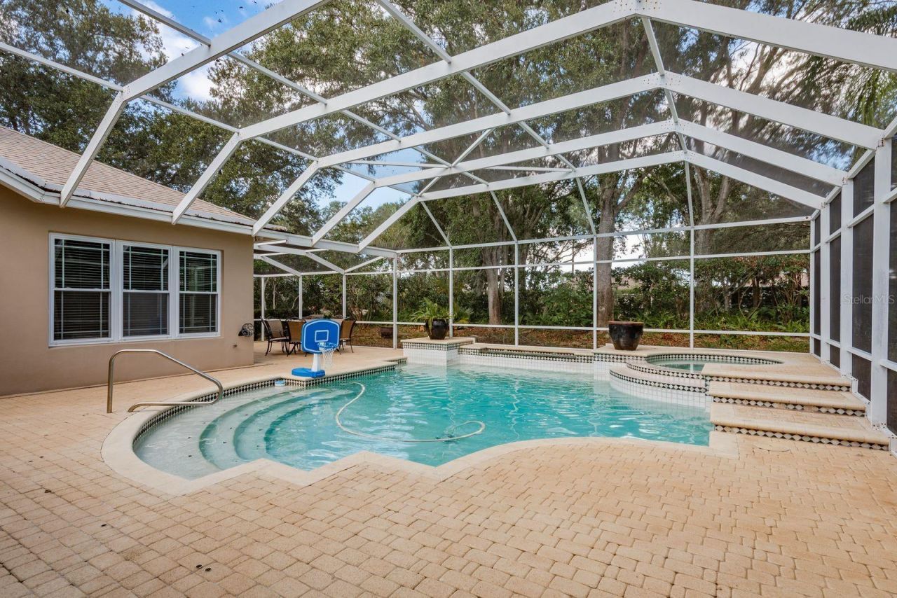 5264 Karlsburg Place, Palm Harbor, FL 34685 Photo